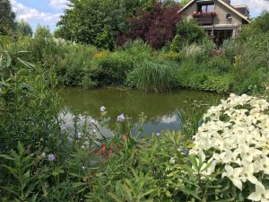 vijver in tuin tijdens Open Tuinen Lansingerland